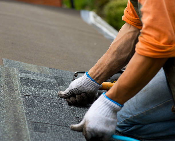 Best Roof Gutter Cleaning  in Tomahawk, WI